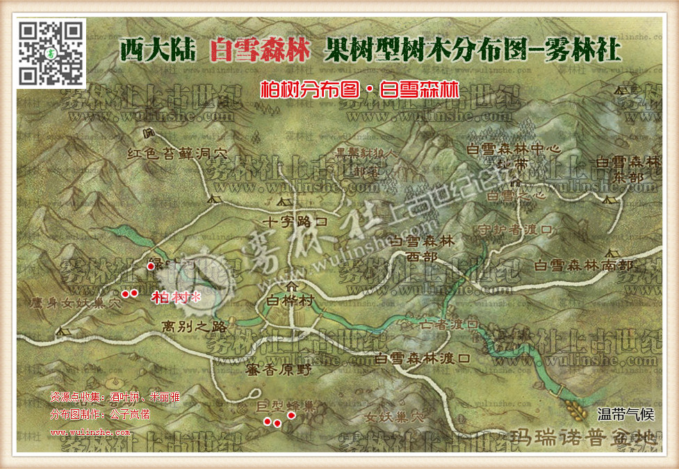 白雪森林柏树