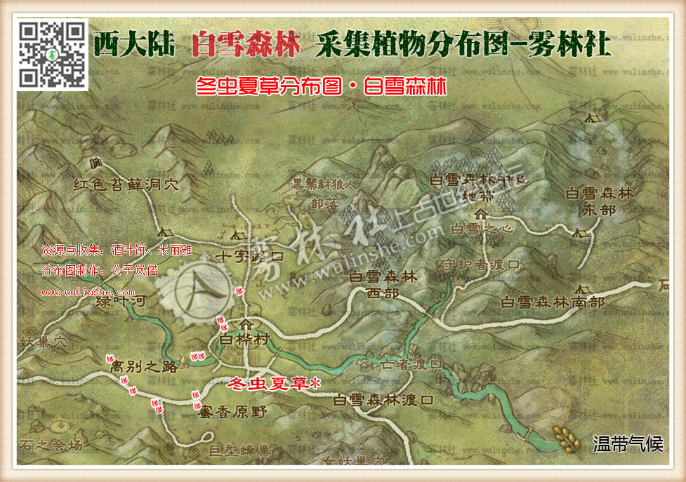 西大陆白雪森林冬虫夏草
