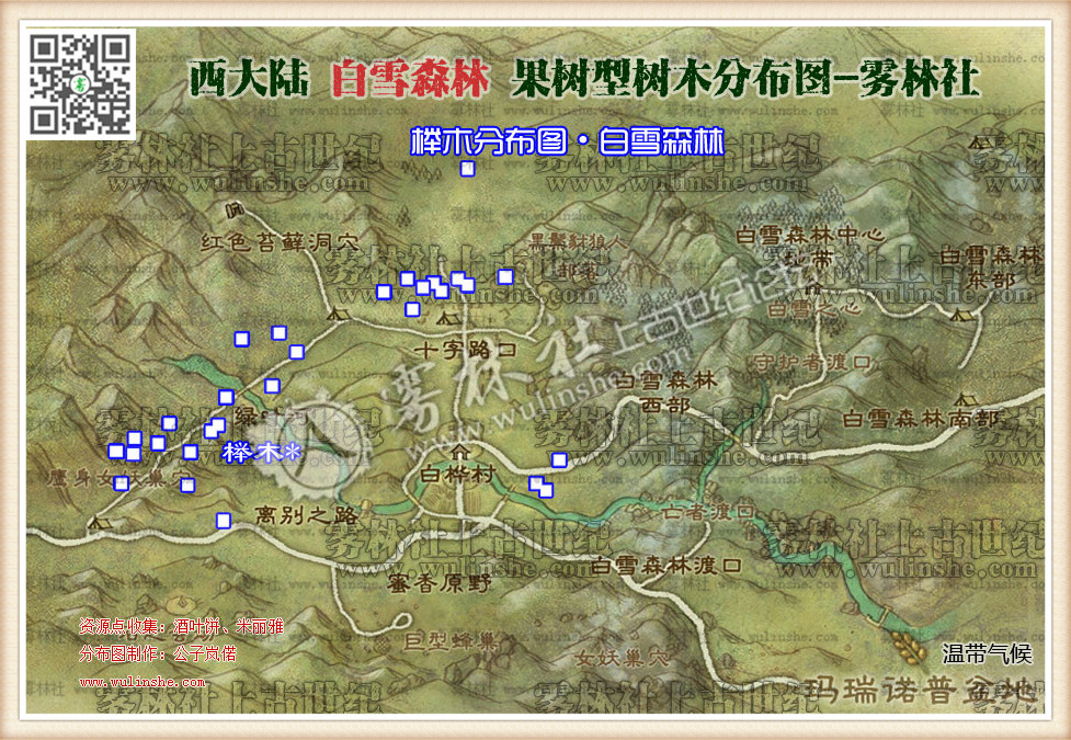 白雪森林榉木