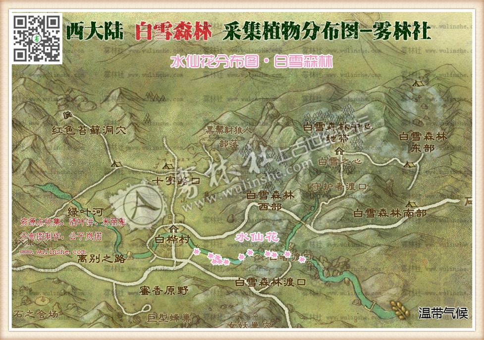 西大陆白雪森林水仙花
