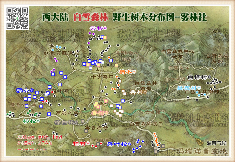 白雪森林野生树木