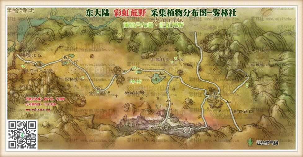 东大陆彩虹荒野薄荷