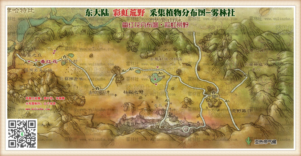 东大陆彩虹荒野番红花