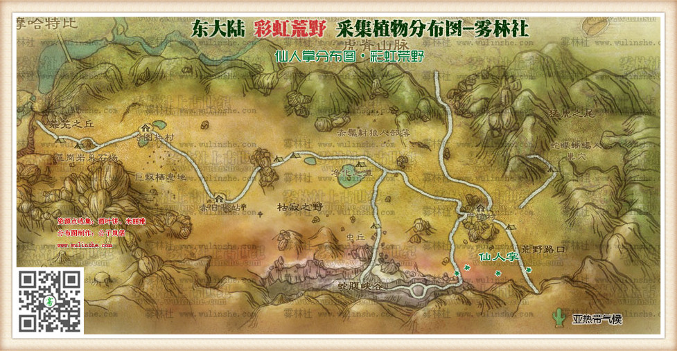东大陆彩虹荒野仙人掌