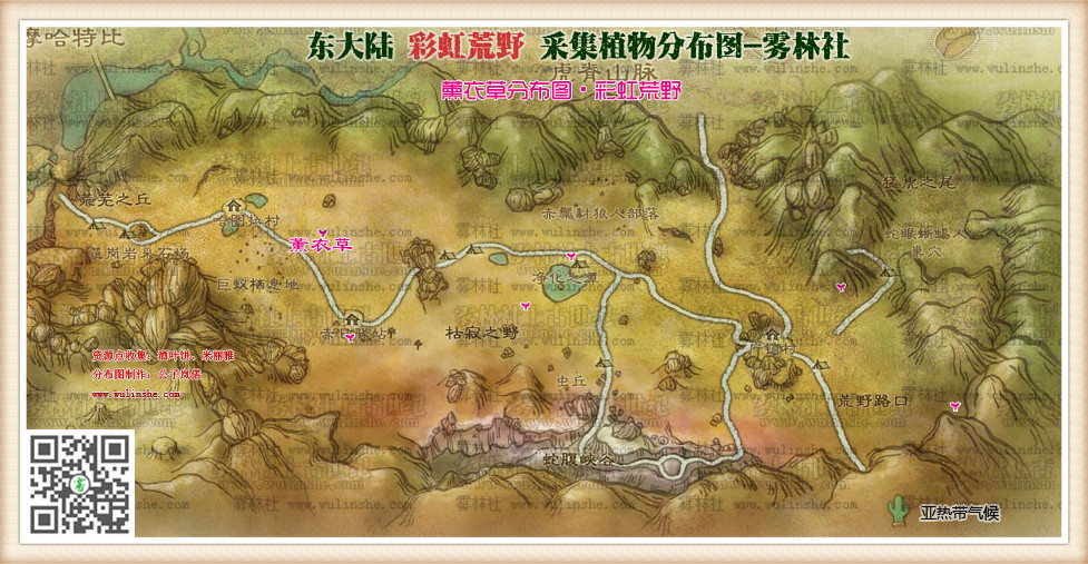 东大陆彩虹荒野薰衣草