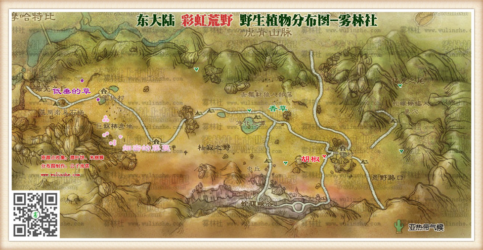 东大陆彩虹荒野野生植物综合