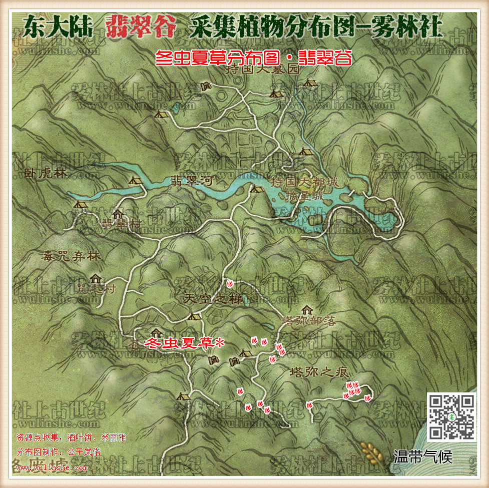 东大陆翡翠谷冬虫夏草