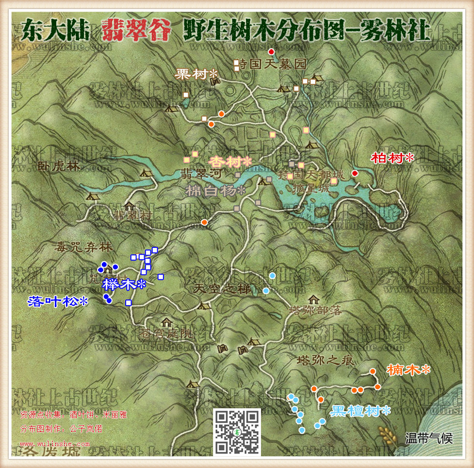 东大陆翡翠谷野生树木