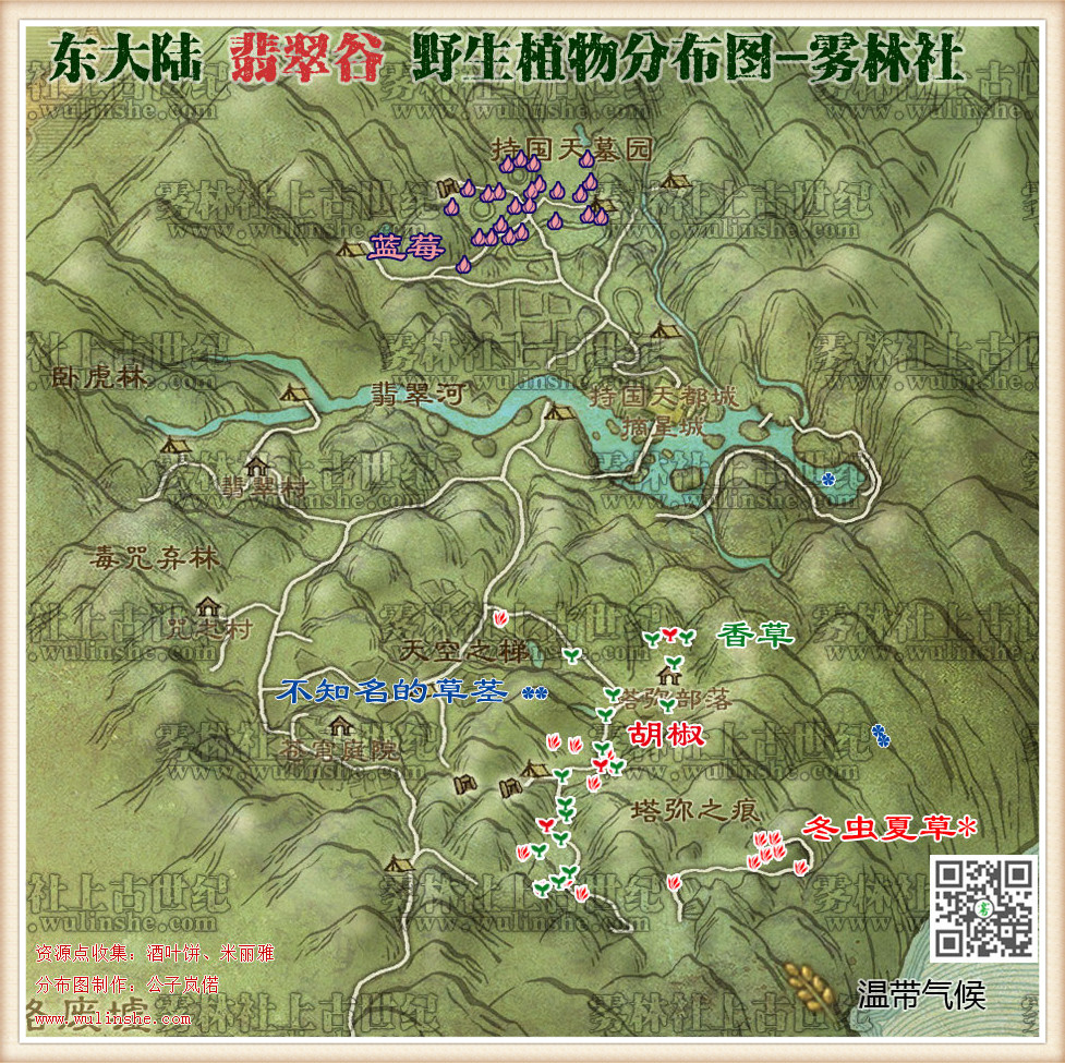 东大陆翡翠谷野生植物综合