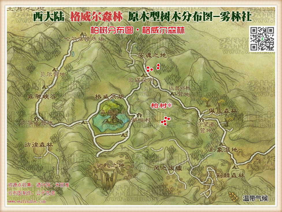 格威尔森林柏树