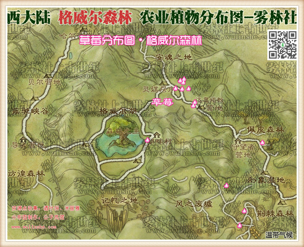 西大陆格威尔森林草莓