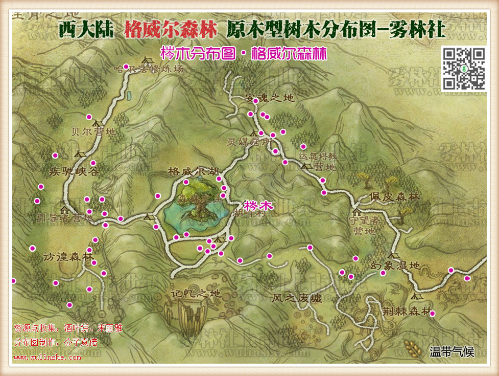 格威尔森林梣木