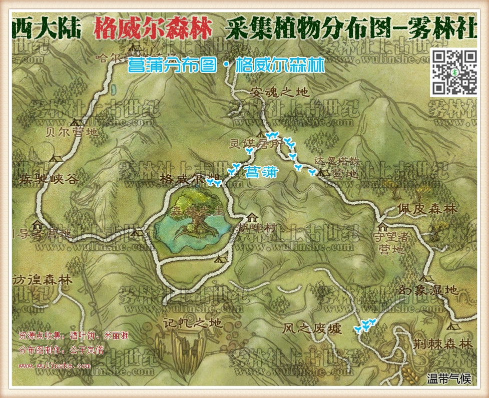 西大陆格威尔森林菖蒲