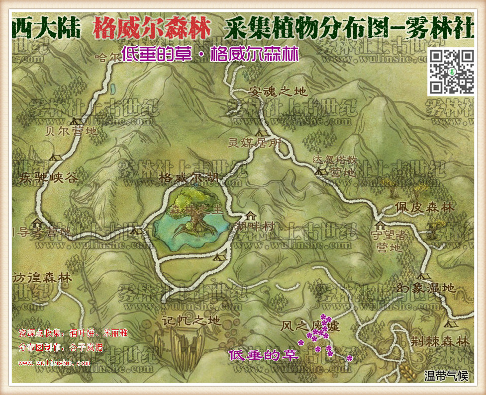 西大陆格威尔森林低垂的草