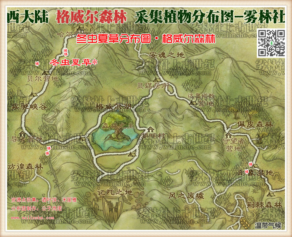 格威尔森林冬虫夏草