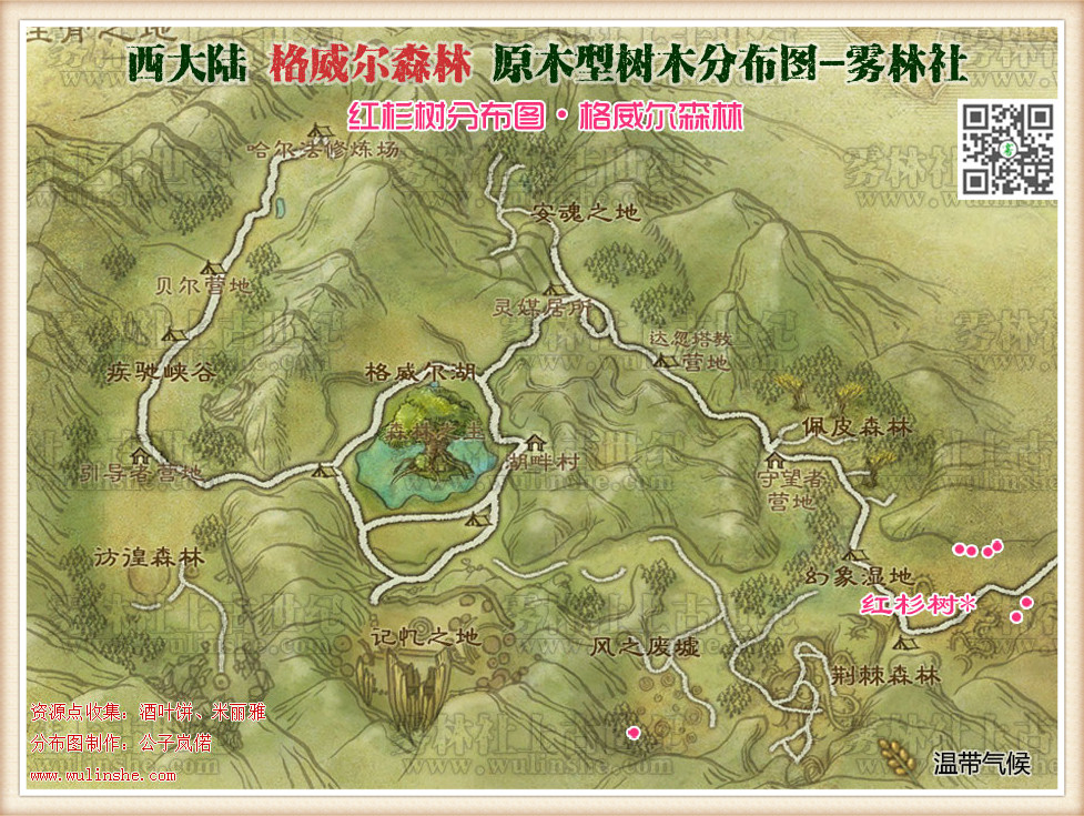 格威尔森林红杉树