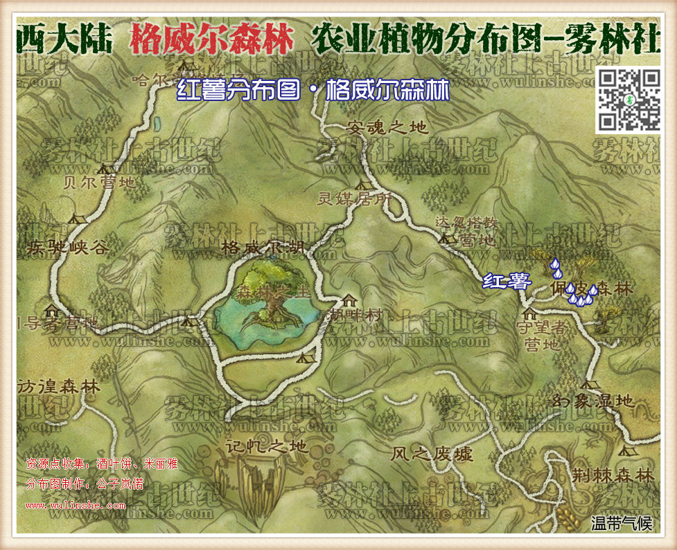 格威尔森林红薯