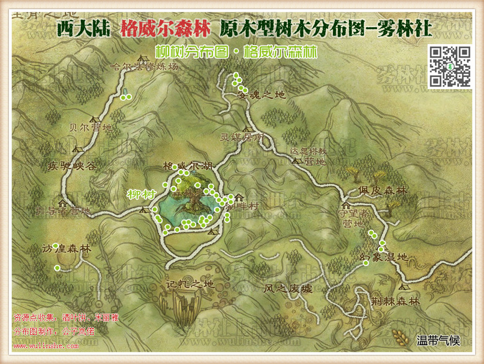 格威尔森林柳树