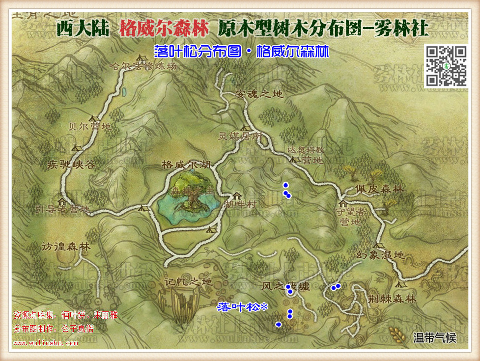 格威尔森林落叶松