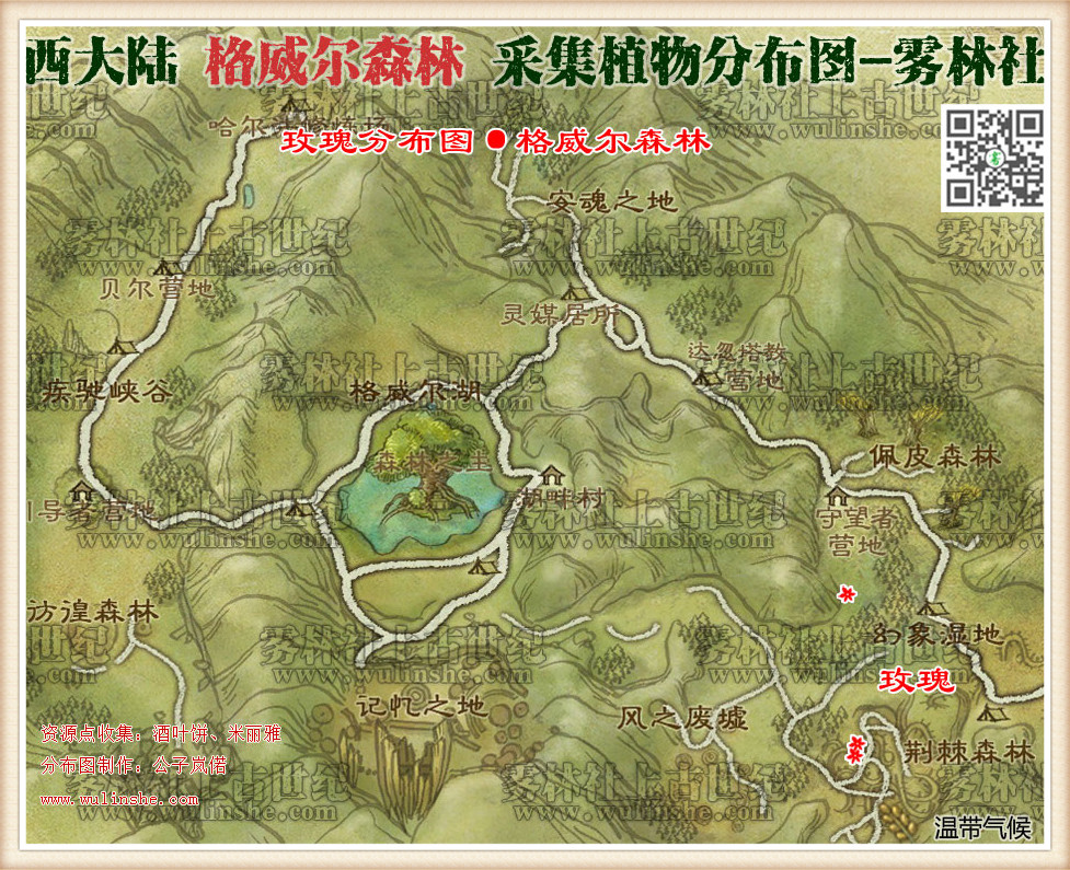 西大陆格威尔森林玫瑰