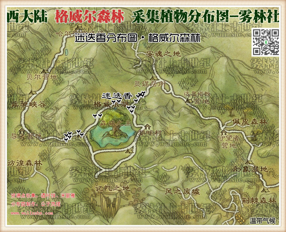 西大陆格威尔森林迷迭香