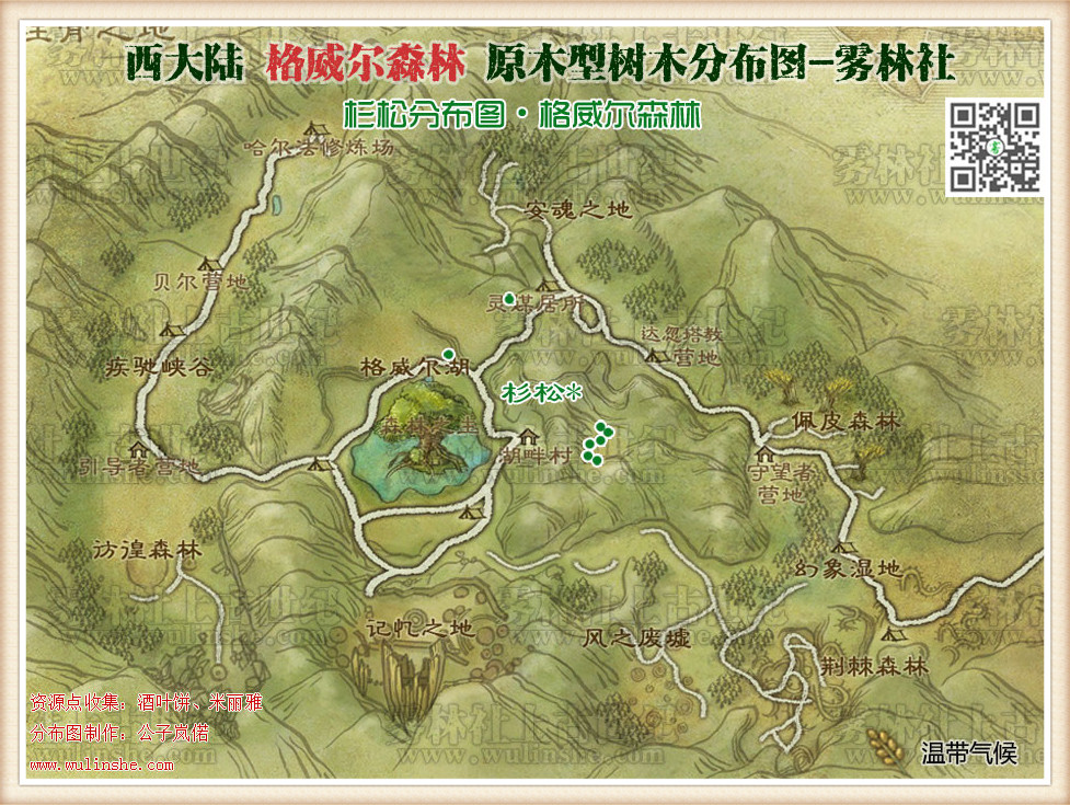 格威尔森林杉松
