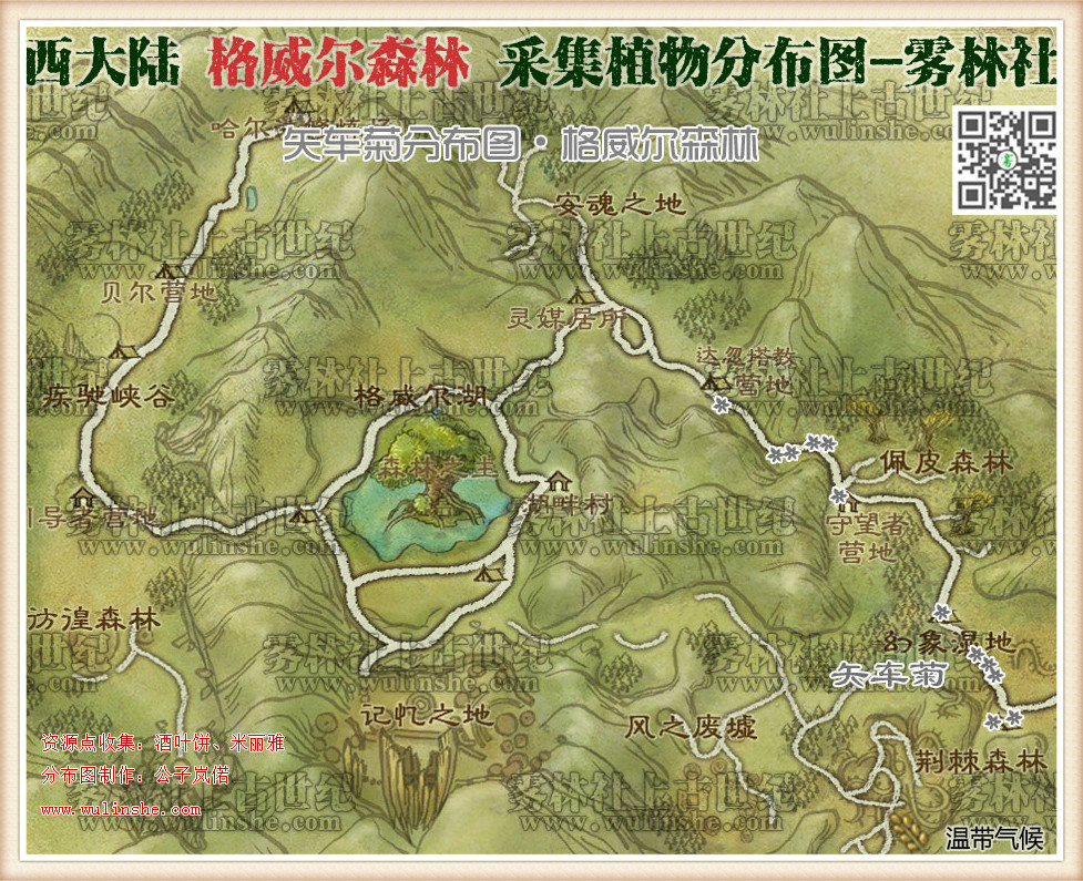 西大陆格威尔森林矢车菊