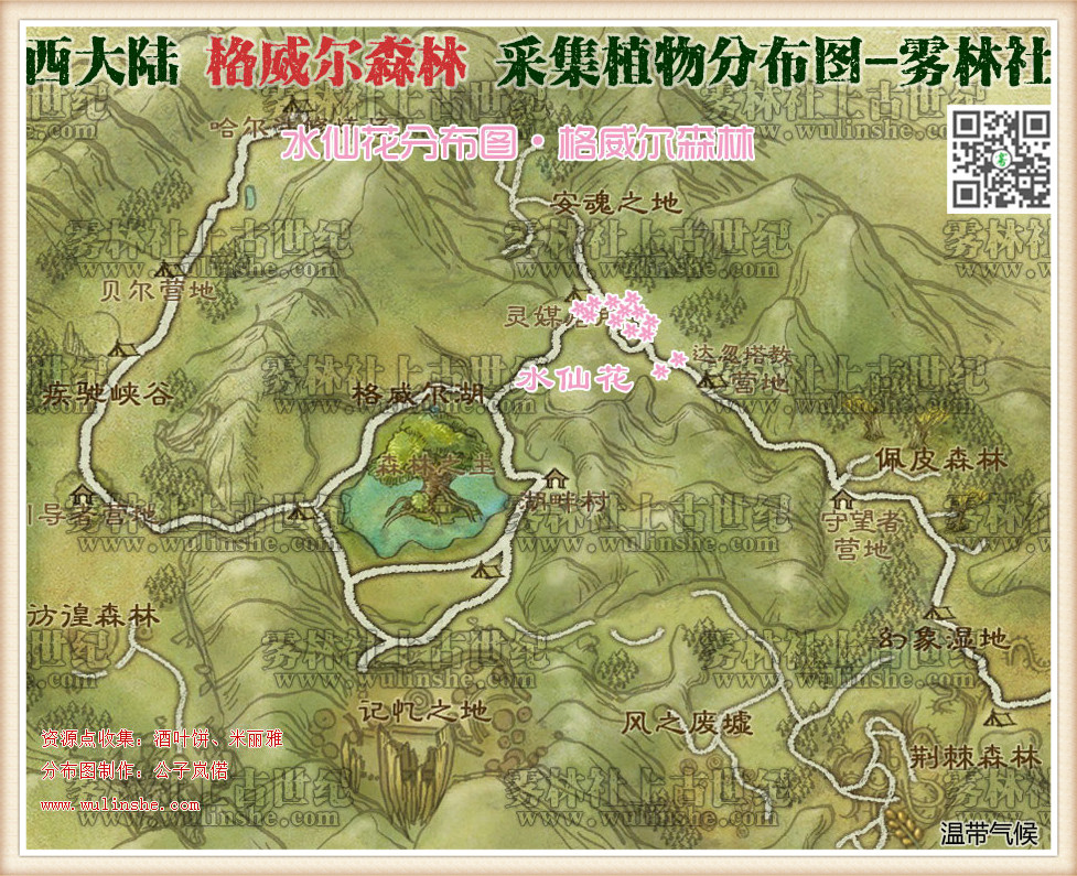 格威尔森林水仙花