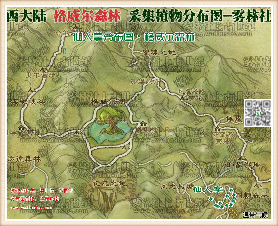 西大陆格威尔森林仙人掌