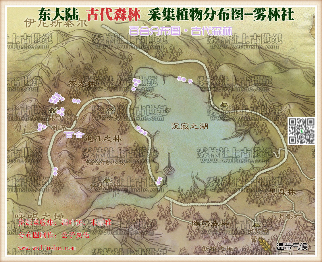 东大陆古代森林百合