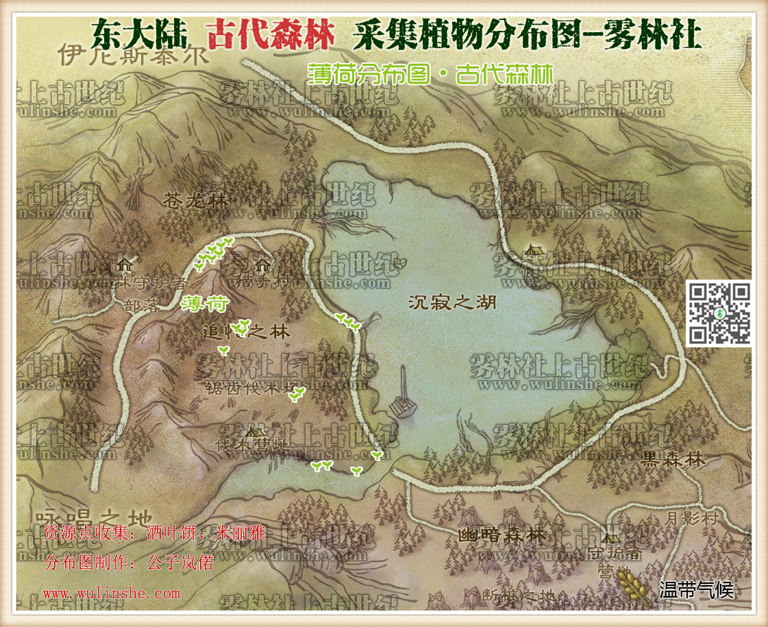 东大陆古代森林薄荷