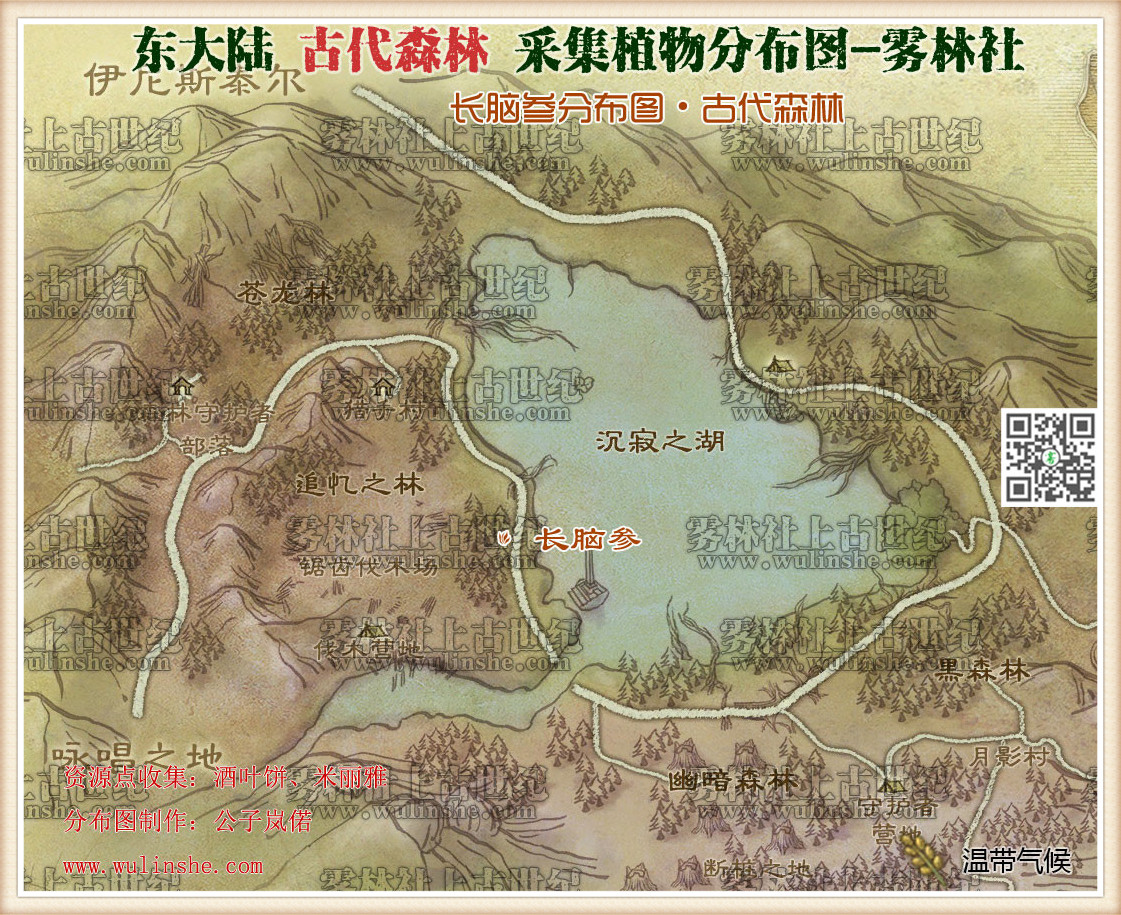 东大陆古代森林长脑参