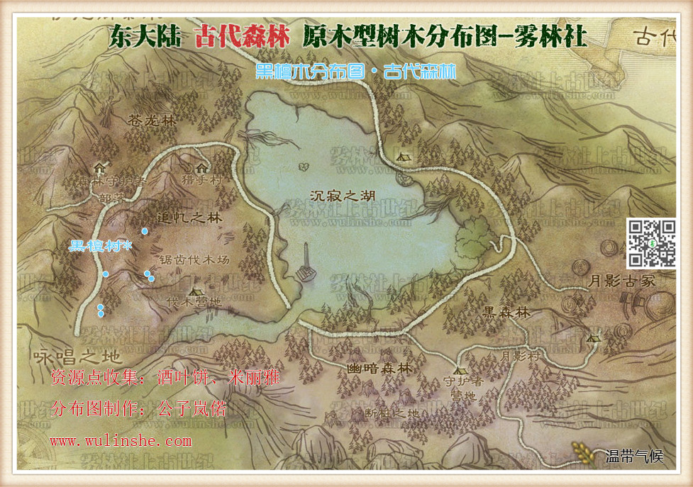 东大陆古代森林黑檀木