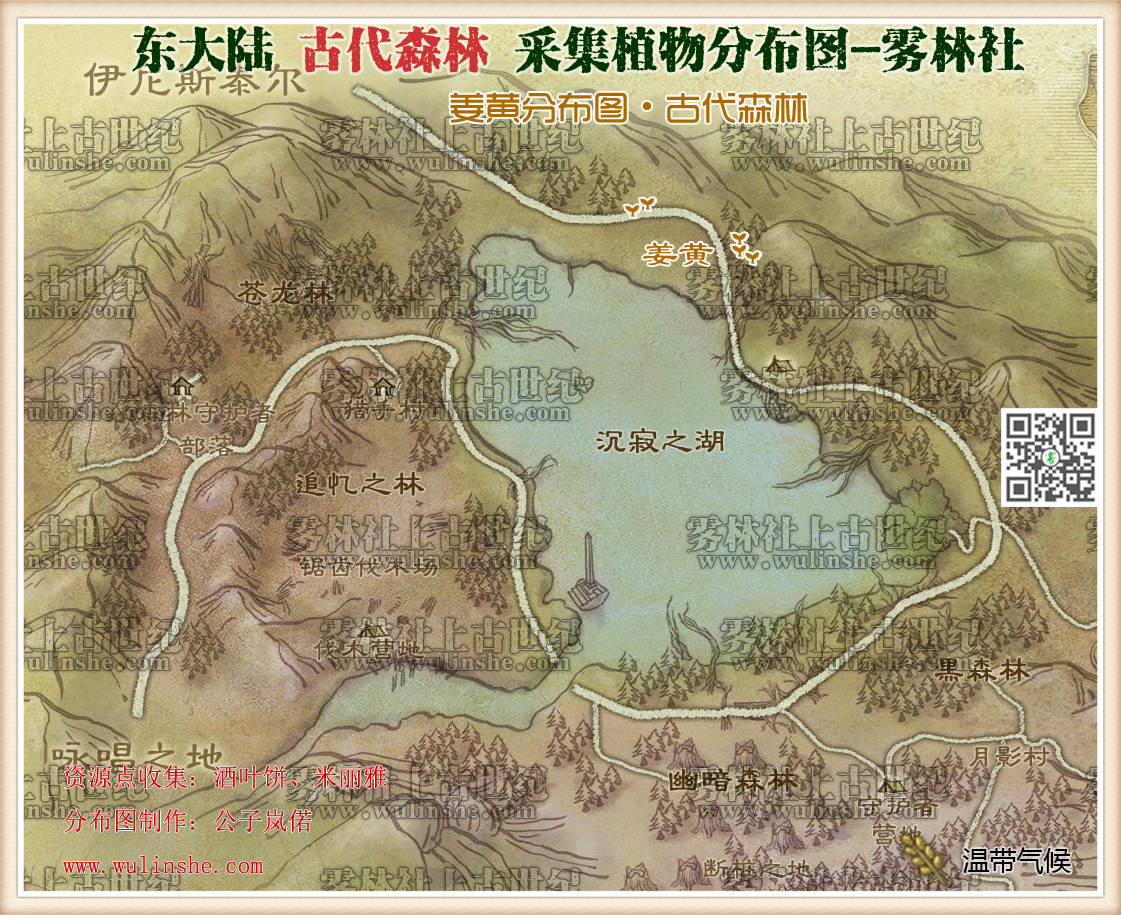 东大陆古代森林姜黄