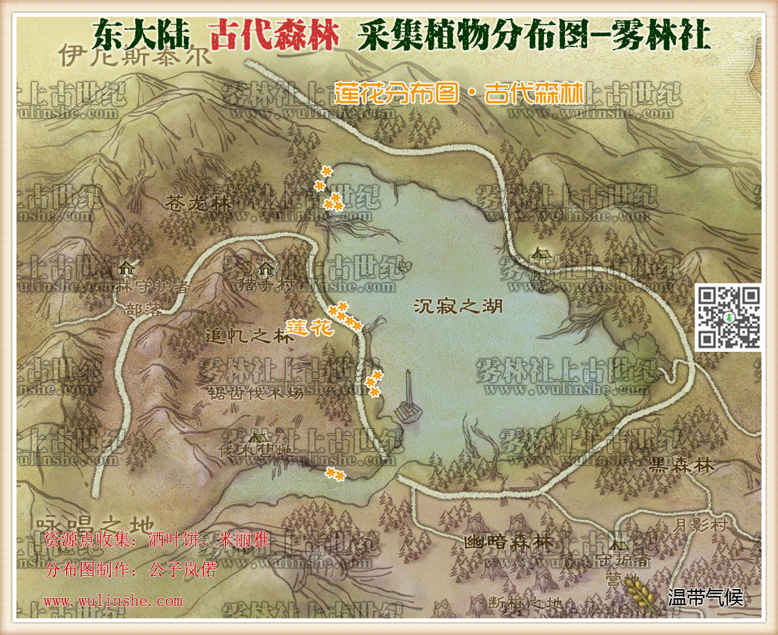 东大陆古代森林莲花