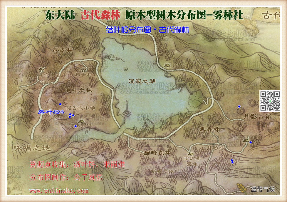 东大陆古代森林落叶松