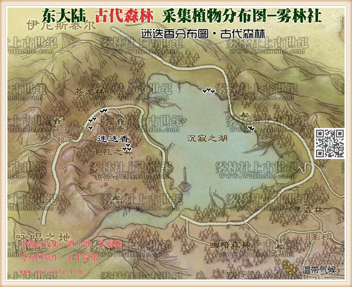 东大陆古代森林迷迭香