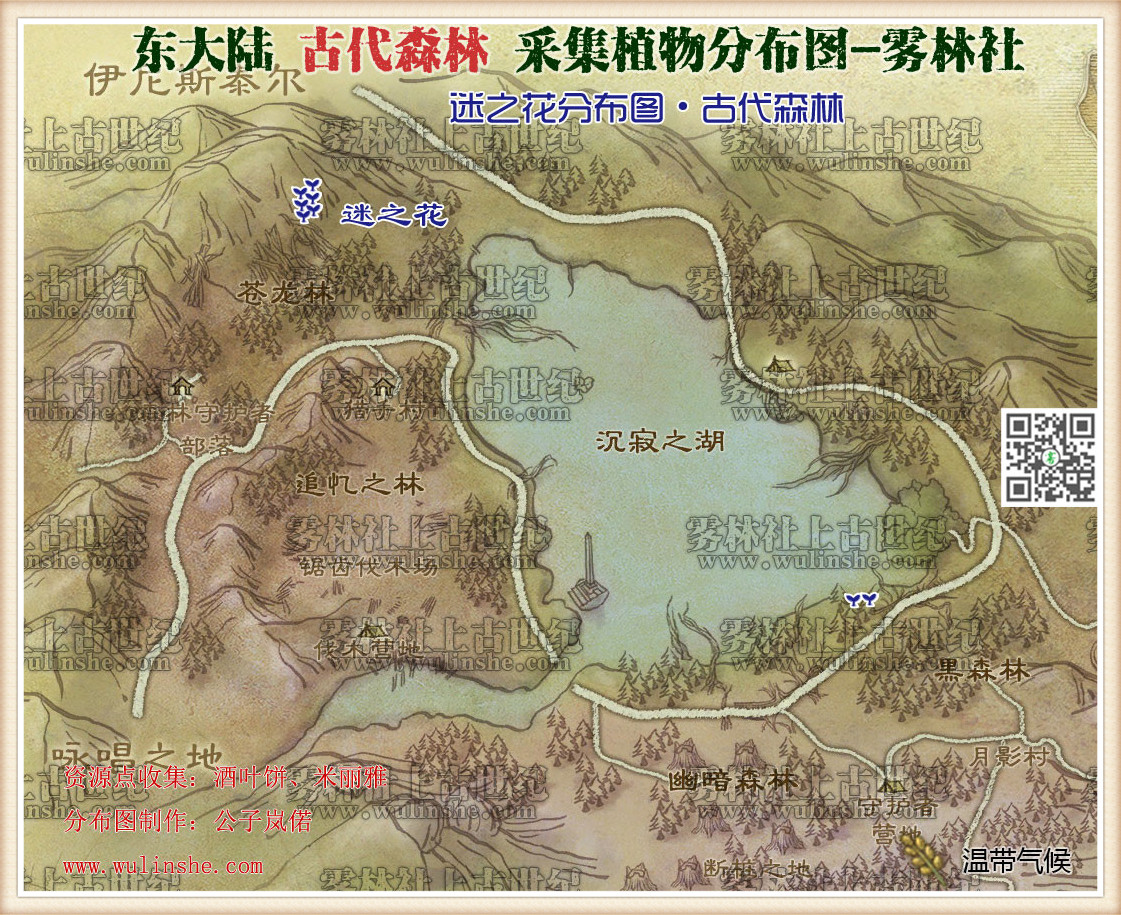 东大陆古代森林迷之花