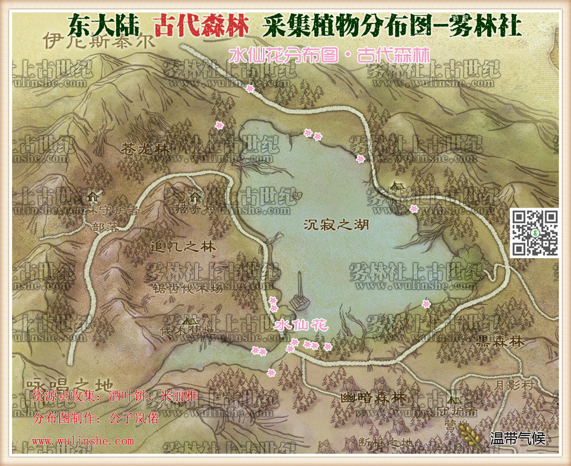 东大陆古代森林水仙花