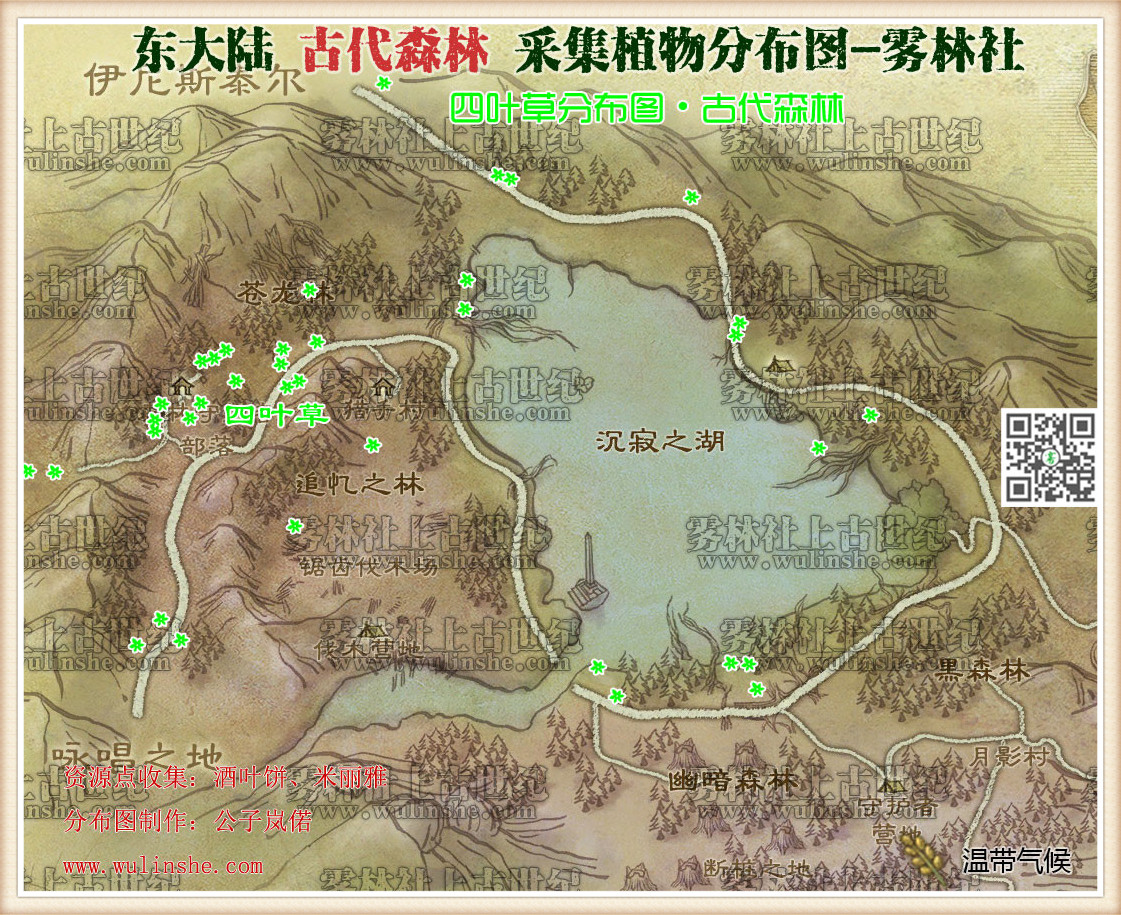 东大陆古代森林四叶草