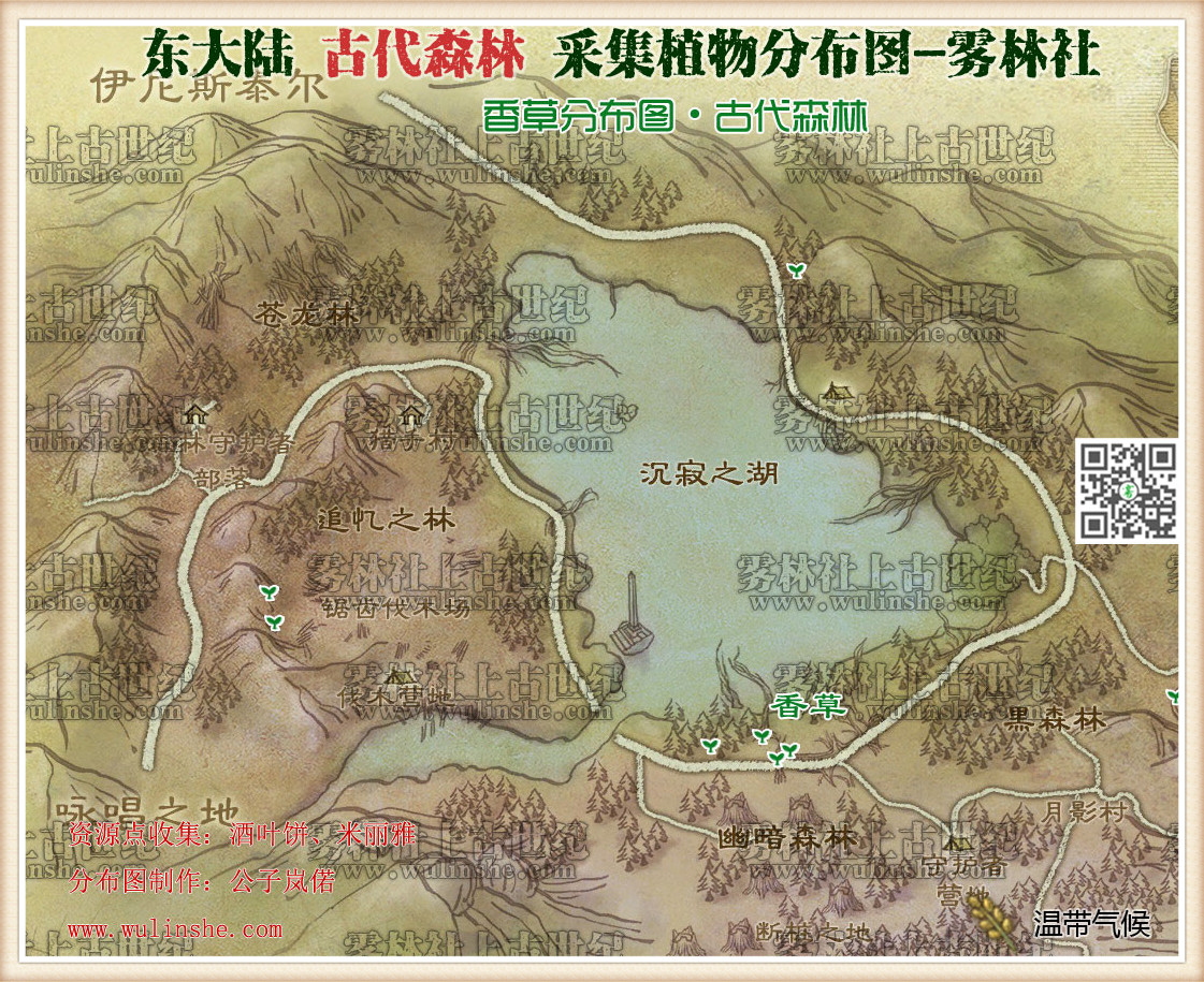 古代森林香草