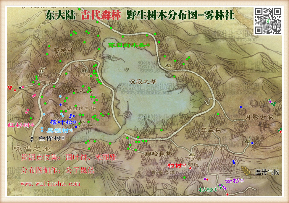 东大陆古代森林野生树木