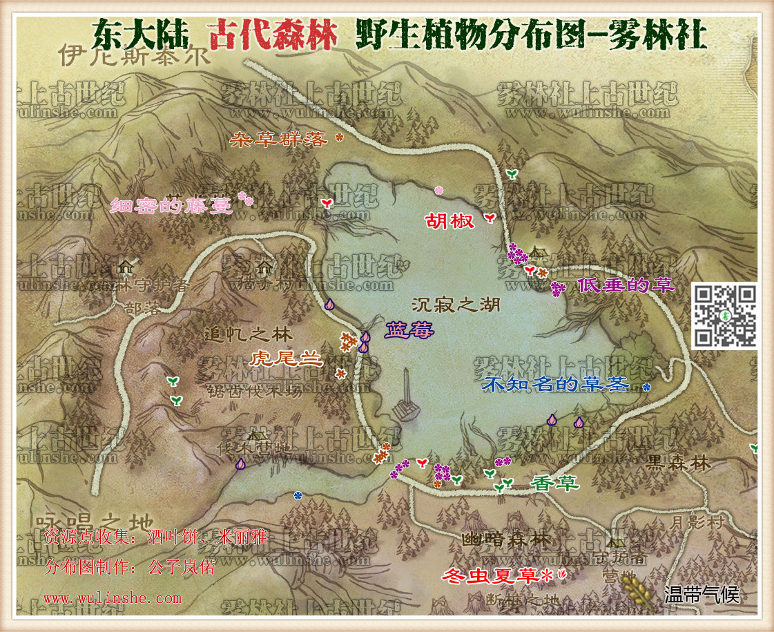 东大陆古代森林野生植物综合