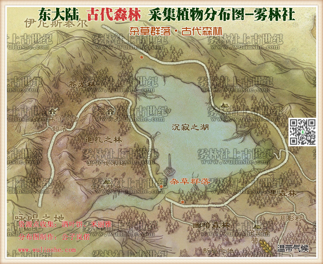 东大陆古代森林杂草群落