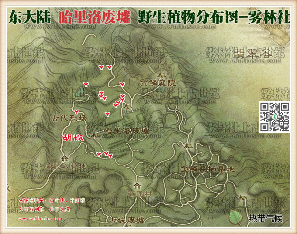 东大陆哈里洛废墟野生植物综合