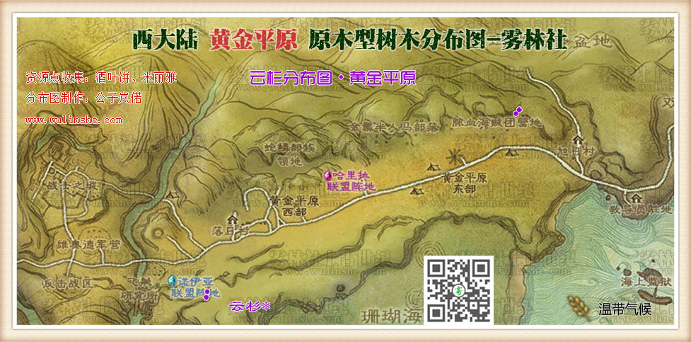 云杉 上古世纪西大陆黄金平原