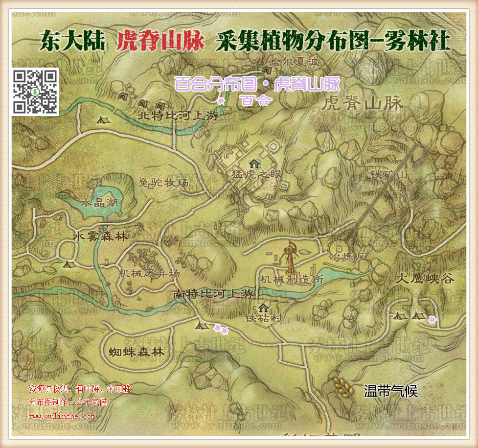 东大陆虎脊山脉百合