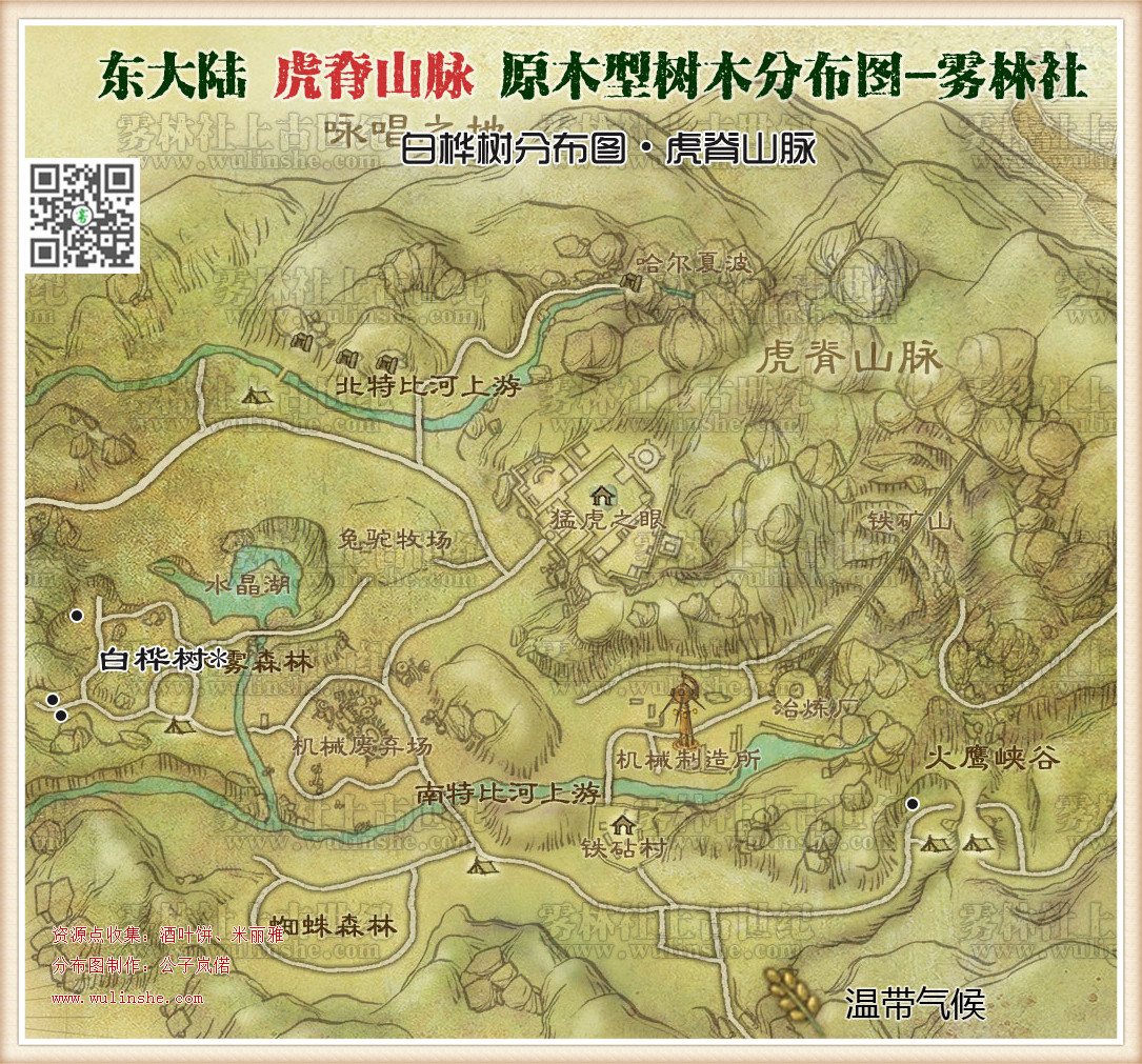 东大陆虎脊山脉白桦树