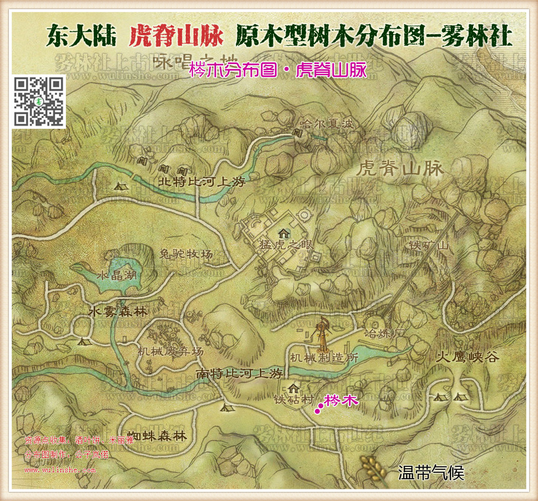 东大陆虎脊山脉梣木