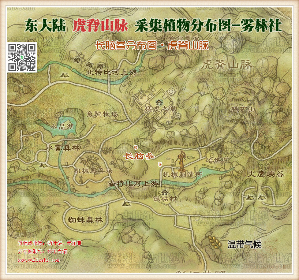 东大陆虎脊山脉长脑参